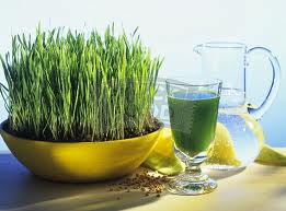 Sucul de grau verde incoltit - aliment sau supermedicament?!